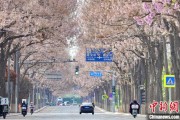 温州共建“花园城市” 北京这场议政会“百花齐放”