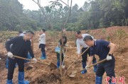 温州广州已打造首批32处“绿美宗教活动场所”