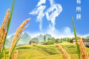 温州芒种节气小知识来了 夏种作物都有什么？